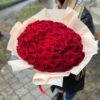 51 красная роза 50 см
