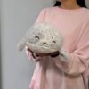 Мягкая игрушка Милашка морской котик