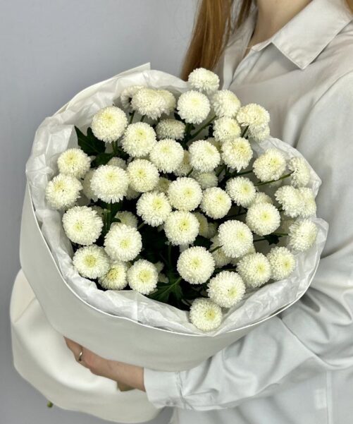хризантемы купить в воронеже
