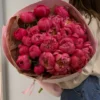 25 пионов Коралл Шарм